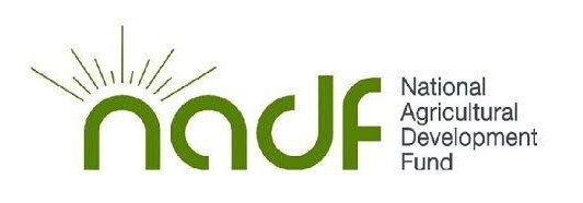 nadf